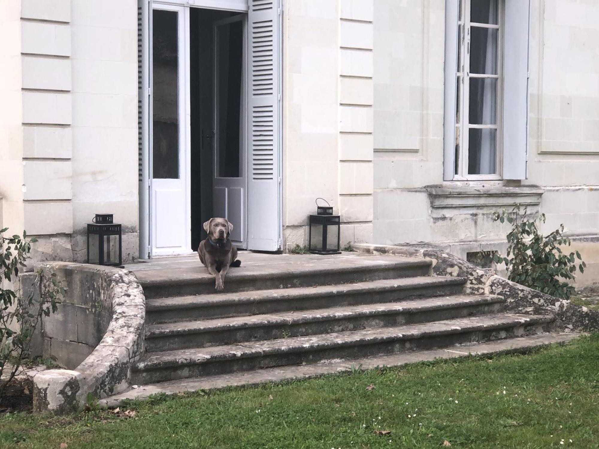Bed and Breakfast La Grande Carrée Saint-Cyr-sur-Loire Exterior foto