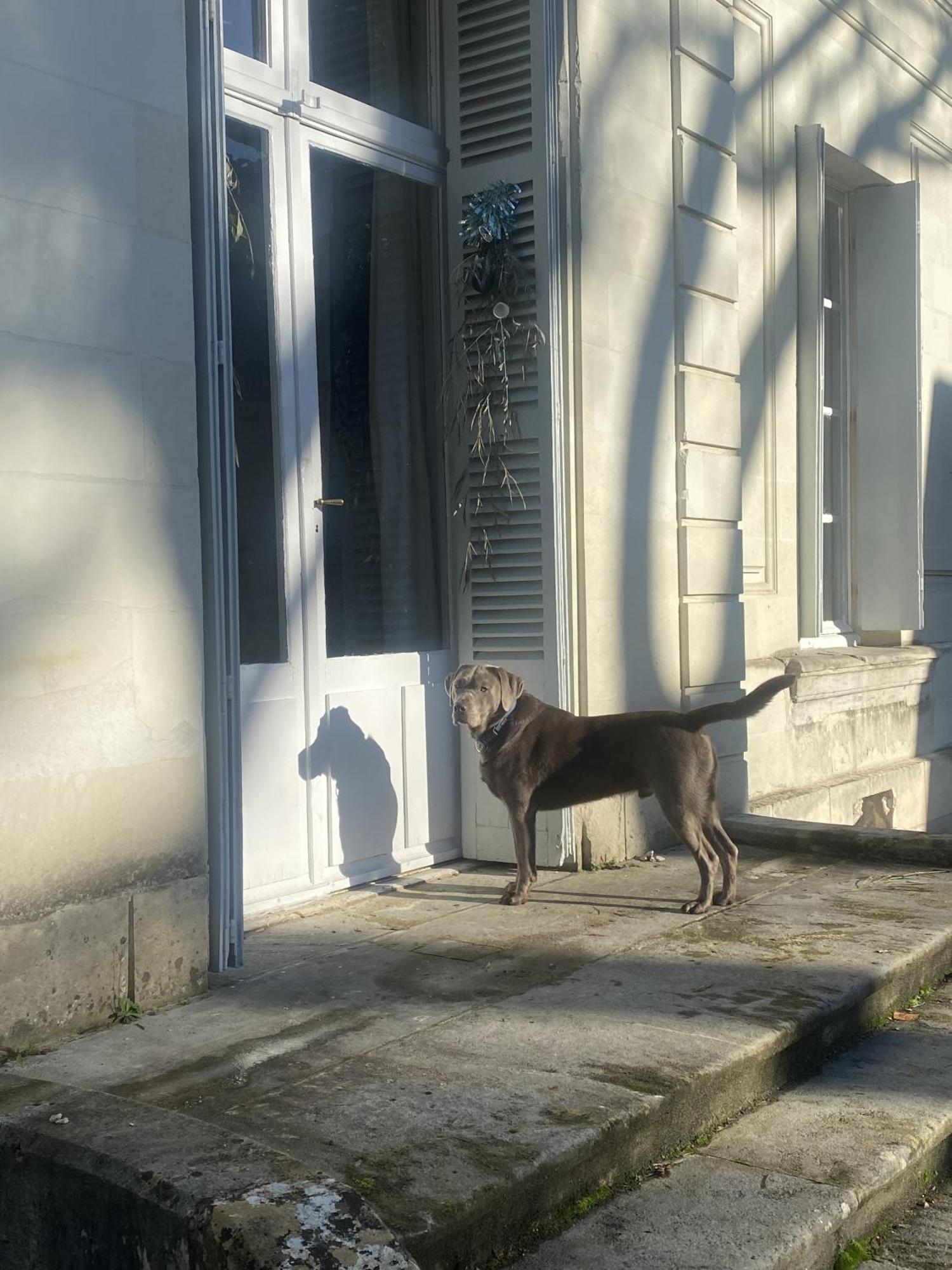 Bed and Breakfast La Grande Carrée Saint-Cyr-sur-Loire Exterior foto